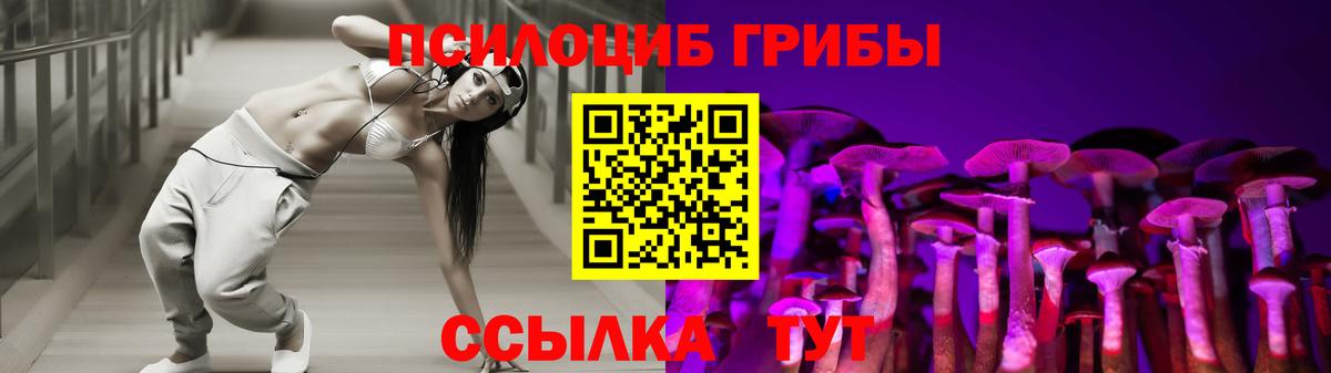 Сердобск  Галлюциногенные грибы Psilocybine cubensis  Вход с VPN 
