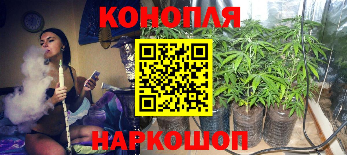 Бошки Шишки сатива  Марихуана сатива  Бошки марихуана MAZAR  Каннабис SATIVA & INDICA  Вход с VPN  Сердобск 